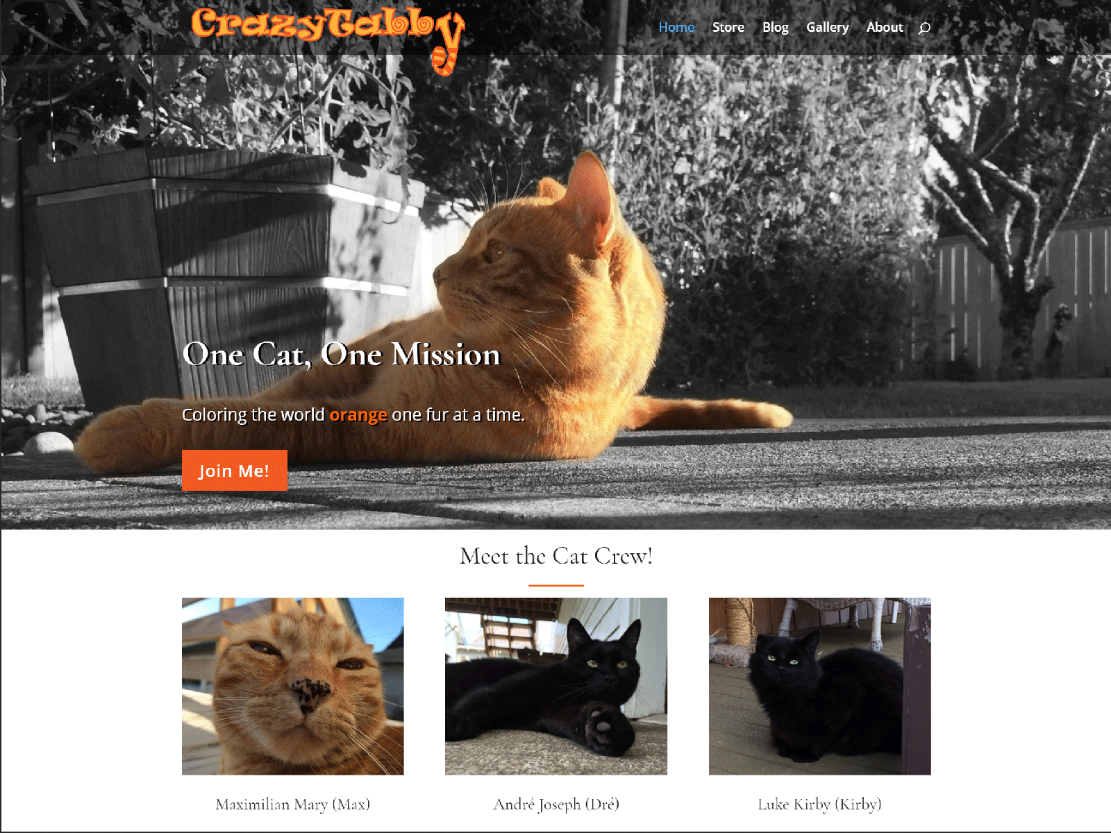 Crazy Tabby WordPress Website