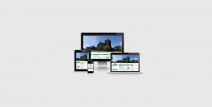 Responsive website design - mobile friendly website