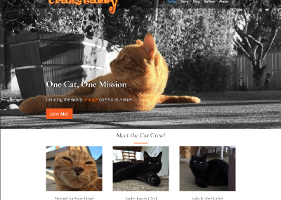 Crazy Tabby Website and Blog