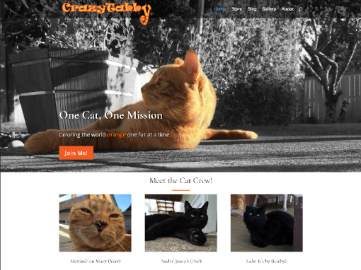 Crazy Tabby Website and Blog